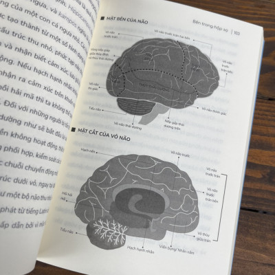 SÁNG TẠO BẢN THỂ - Giải mã bộ não tuổi teen - Sarah-Jayne Blakemore – Việt Khánh dịch - Nxb Kim Đồng 