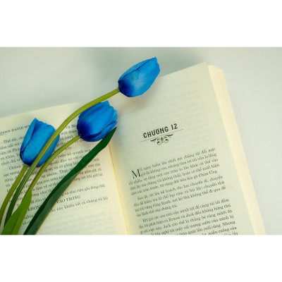 Sách - Lớn Lên Trên Đảo Vắng - Johann David Wyss - Đinh Tị Books