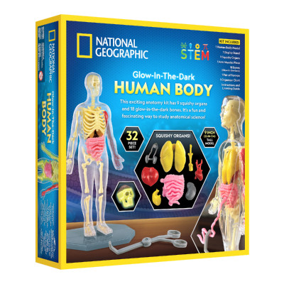 Đồ Chơi National Geographic Khám Phá Bộ Phận Cơ Thể Người STEAM RTHUMBODY