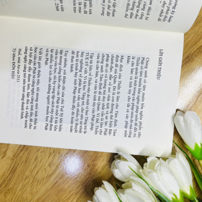 Đại Cương Thiền Quán -Tuệ Sỹ