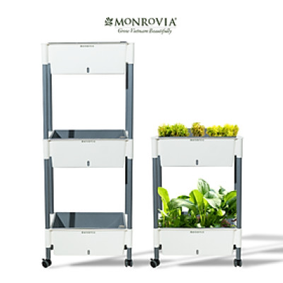 Kệ trồng rau tự tưới D202 MONROVIA cho rau, hoa, có bánh xe di chuyển thuận lợi