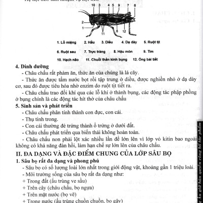 Sách tham khảo_BỒI DƯỠNG HỌC SINH GIỎI SINH HỌC 7 (BIÊN SOẠN THEO CHƯƠNG TRÌNH GDPT MỚI)_HA