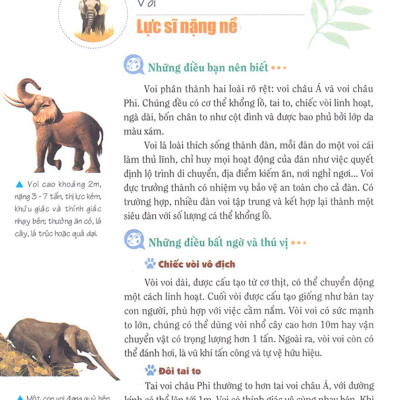 Khám Phá Bí Ẩn Thế Giới Tự Nhiên Dành Cho Học Sinh : Động Vật _ML