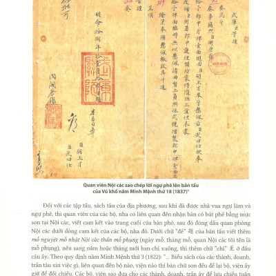 (Bìa cứng - In màu - Phiên bản 2022) NGỰ PHÊ TRÊN CHÂU BẢN TRIỀU NGUYỄN (1802 – 1945) – Trung tâm Lưu trữ quốc gia I biên soạn - NXB ĐH Sư phạm 