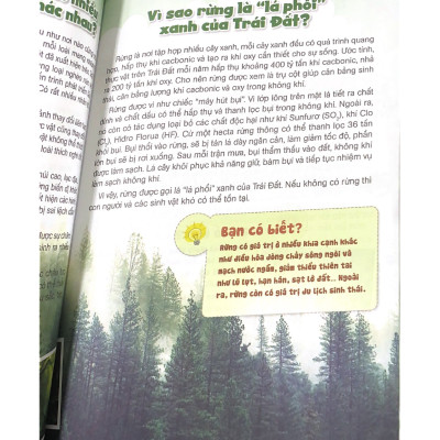 10 Vạn Câu Hỏi Vì Sao? Gõ Cửa Thế Giới Thực Vật - Vanlangbooks