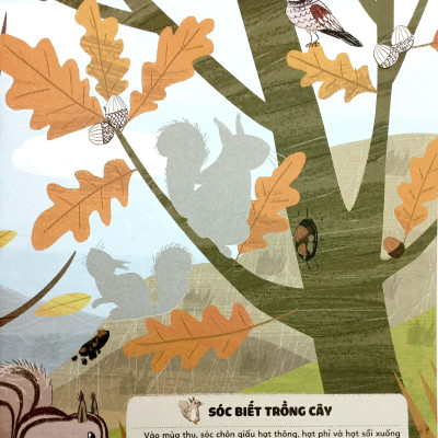 Sticker Bước Vào Thế Giới Thiên Nhiên Kỳ Thú - Tập 2 - Bí Mật Rừng Rậm