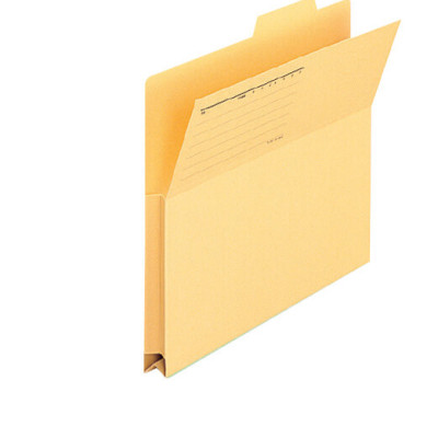 Combo 10 Bìa Giấy Phân Loại Hồ Sơ Plus