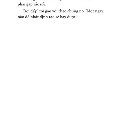 Bay Bằng Đôi Cánh Gãy - How To Fly With Broken Wings