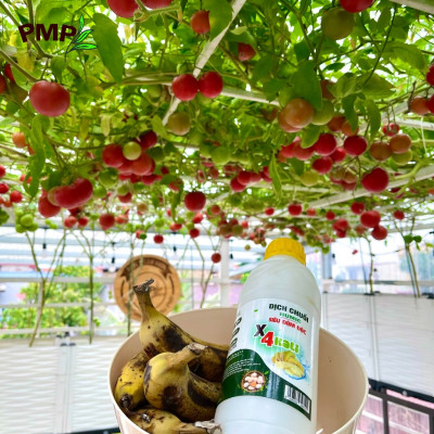 Combo Phân Bón Hữu Cơ Cho Cây Ăn Quả 1 Tricow và 1 Dịch Chuối x4 Kali