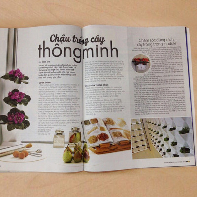 Chậu trồng rau sạch tự động tưới nước và tự chăm sóc rau tại nhà trong 2 tháng Minigarden Basic S (1 bộ gồm 2 chậu S, 1 khay hứng nước, 1 bình chứa nước và phân)