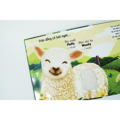 Sách - Touch And Feel - Sách Sờ Chạm Khám Phá - Thế Giới Động Vật - Một Ngày Giữa Thiên Nhiên - Đinh Tị Books