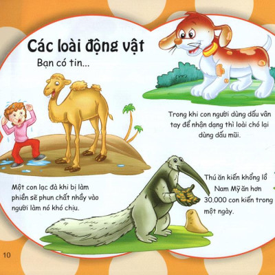Những Điều Kỳ Thú - Kiến Thức Thú Vị