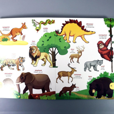 Sách Bách khoa hình ảnh đầu tiên cho bé , song ngữ Anh - Việt dành cho bé 0-6 tuổi( My First picture encyclopedia )