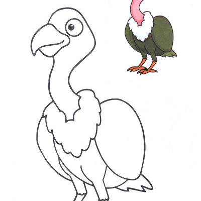 Tô Màu Thật Thú Vị - Các Loài Chim