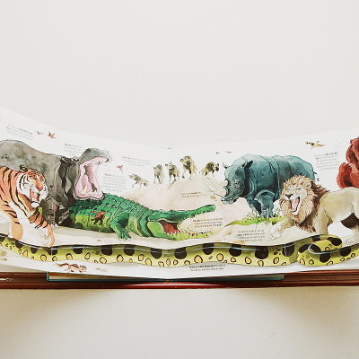 Big Book Of Big Animals – Cuốn Sách Khổng Lồ Về Các Loài Động Vật Khổng Lồ - CASA SUNSHINE