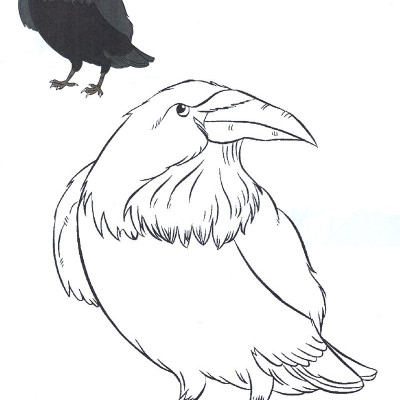 Tô Màu Thật Thú Vị - Các Loài Chim