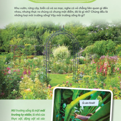 Sách - Học Vui Hiểu Rộng Biết Nhiều - Sinh Vật Trú Ẩn Và Săn Mồi