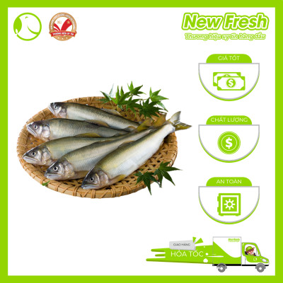 Cá Đắng Có Trứng Nhật Bản - Hộp 1kg (10-12 con)