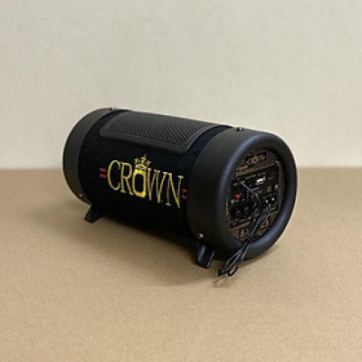 Loa CROWN 4 có bluetooth - hàng chính hãng