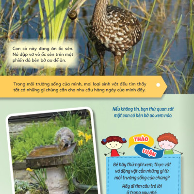 Sách - Học Vui Hiểu Rộng Biết Nhiều - Sinh Vật Trú Ẩn Và Săn Mồi