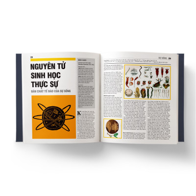 Sách - Sinh Học - Khái Lược Những Tư Tưởng Lớn - Bìa Cứng