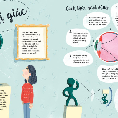 Sách Thiếu Nhi | Bảy Giác Quan Phi Thường | Cathy Evans | San Hô Books