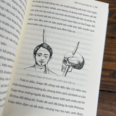 SÁNG TẠO BẢN THỂ - Giải mã bộ não tuổi teen - Sarah-Jayne Blakemore – Việt Khánh dịch - Nxb Kim Đồng 