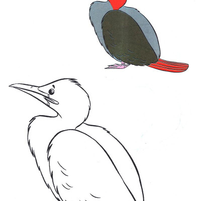 Tô Màu Thật Thú Vị - Các Loài Chim