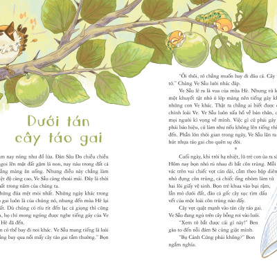 Sách - Ve Sầu Phiêu Du Bắc Cực