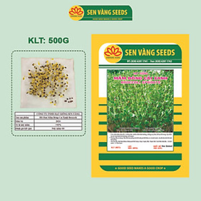 Hạt Giống Rau Mầm Bông Cải Xanh Broccoli - Hạt chắc, nảy mầm khỏe, siêu dinh dưỡng - HẠT GIỐNG SEN VÀNG
