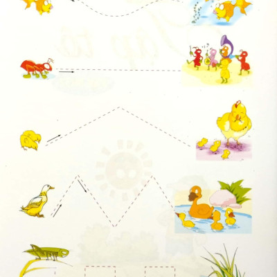 Tập Tô 1 - Dành Cho Bé 4 - 5 Tuổi