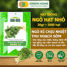 Hạt Giống Ngò Rí Greenhome, Gói 20gr, Dễ Trồng Quanh Năm, Nảy Mầm Cao, Thu Hoạch Nhanh, Năng Suất Cao G03