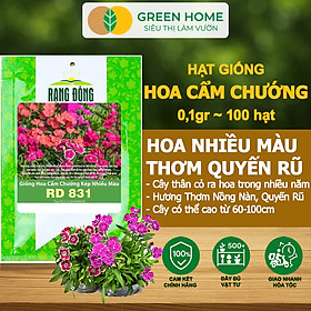 Hạt Giống Hoa Cẩm Chướng Mix Greenhome, Gói 0.1gr~100 hạt, Sai Hoa Màu Rực Rỡ,Trồng Quanh Năm H07
