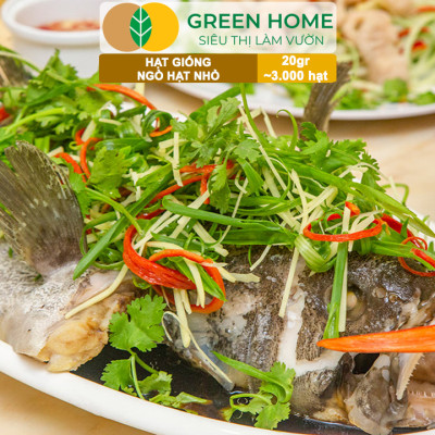 Hạt Giống Ngò Rí Greenhome, Gói 20gr, Dễ Trồng Quanh Năm, Nảy Mầm Cao, Thu Hoạch Nhanh, Năng Suất Cao G03