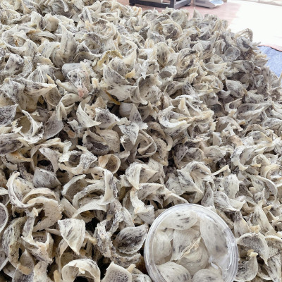 Yến thô ít lông hộp 100gr - Ăn tổ yến giúp đẹp da - Tốt cho hệ hô hấp - tặng kèm đường táo nhíp - Yến sào cao cấp Đỗ Thị Toán