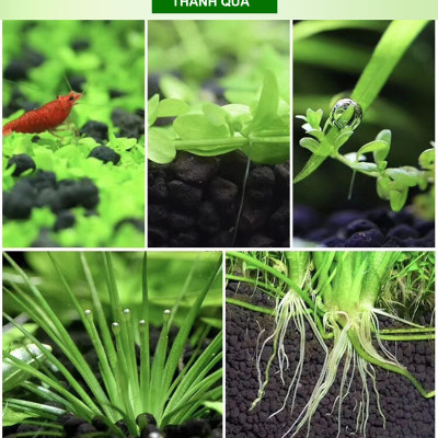 Xốp Lọc Bể Cá + Bông Gòn + Phân nền thủy sinh Dia Max AQua cho hồ bể cá cảnh