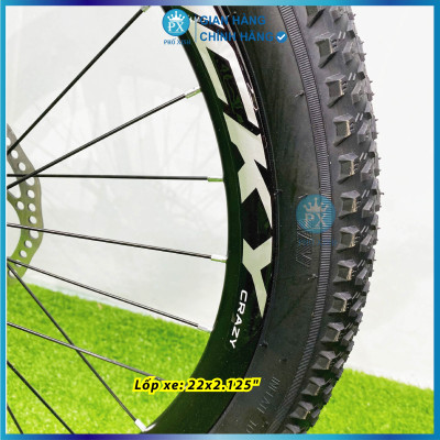 Xe đạp trẻ em Vicky VF22 bánh 22inch