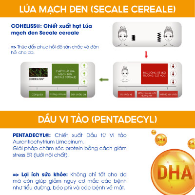 Dưỡng Thể Thư Giãn Phiten Metax Cream Wet B 65g