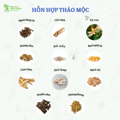 Combo 5 hộp viên ngậm ho thảo mộc Zalocol Hỗ trợ giảm đờm, giảm đau rát họng, khản tiếng do viêm họng, viêm phế quản (hộp 20 viên) - Genat