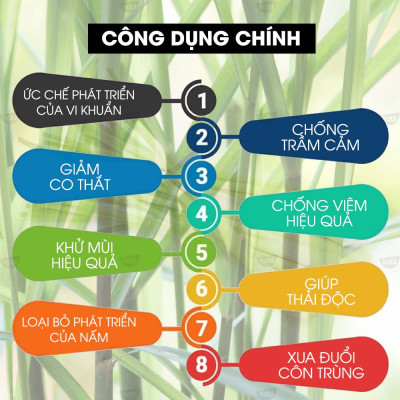 Tinh Dầu Sả Java Nguyên Chất Kobi Giúp Khử Mùi, Đuổi Muỗi Hiệu Quả (10ml)