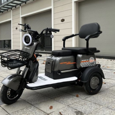 XE 3 BÁNH ĐIỆN VICTORY FLY