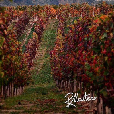 Rượu vang Stonehedge Grand Reserve Merlot Napa Valley (USA)  kèm túi hộp,đồ khui 
