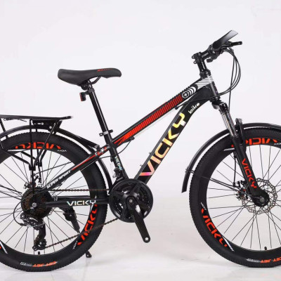 Xe đạp địa hình bánh 26 Vicky VIC660 Khung thép - Hàng chính hãng