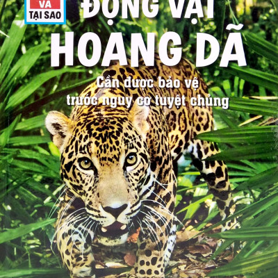 Thế Nào Và Tại Sao - Động Vật Hoang Dã Cần Được Bảo Vệ Trước Nguy Cơ Tuyệt Chủng