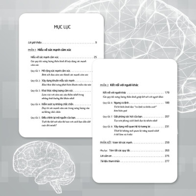 Sách - Năng Lượng Cảm Xúc - Energy Rising - Saigon Books