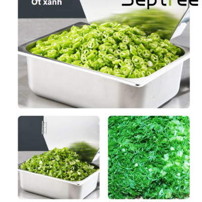 Máy thái rau củ, quả đa năng chuyên nghiệp - Dòng công nghiệp. Thương hiệu Mỹ cao cấp Septree - F46. Hàng chính hãng