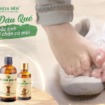 Tinh dầu Quế nguyên chất Hoa Nén 3ml- 100ml - Đuổi côn trùng, khử mùi, lọc không khí