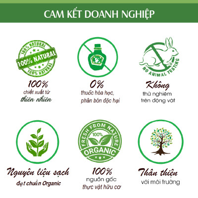 Tinh dầu Vỏ Cam ngọt nguyên chất 100% từ thiên nhiên, thơm phòng, xông phòng, đuổi muỗi, khử mùi - KingOil