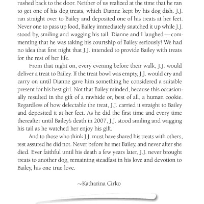 Chicken Soup For The Soul: The Dog Did What?: 101 Amazing Stories Of Magical Moments, Miracles And... Mayhem