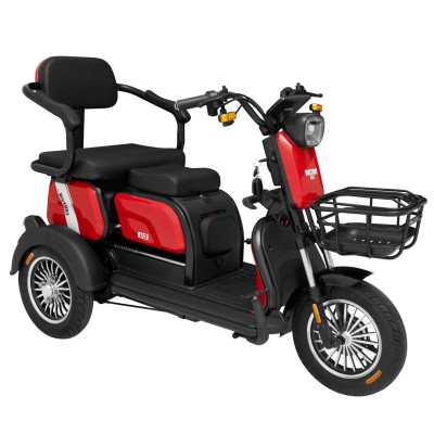 XE 3 BÁNH ĐIỆN VICTORY V8